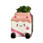 Succulente lait