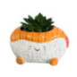 Succulente sushi