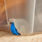 Waterproof box 100l