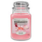 Bougie yankee kiss bellini - l