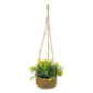 Fleurs suspendre