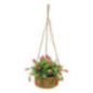Fleurs suspendre