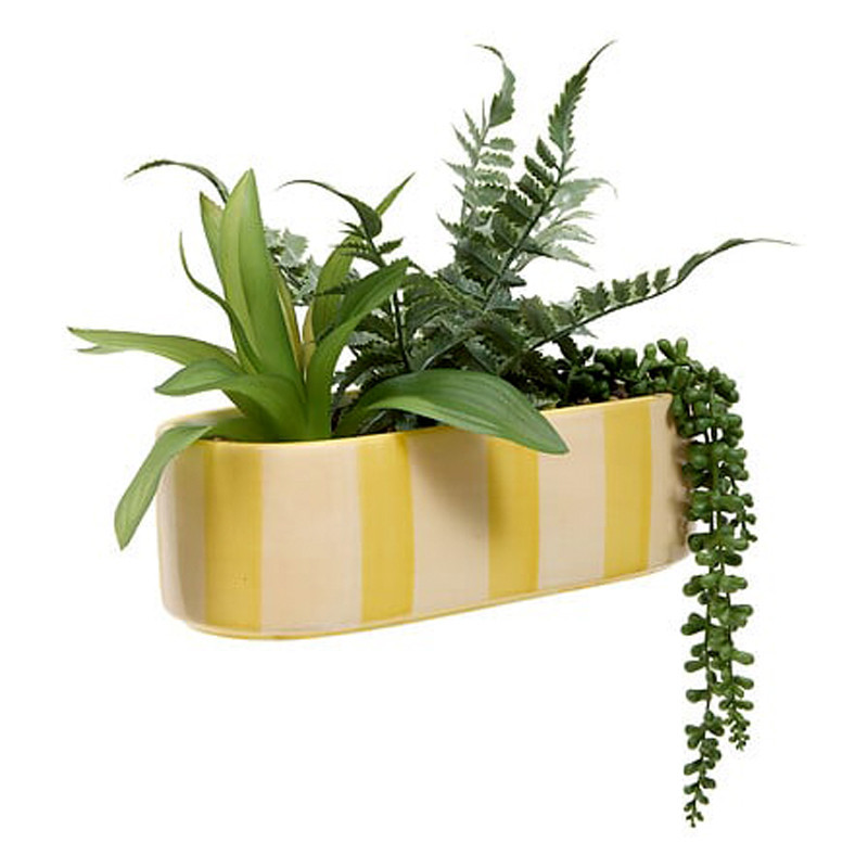 Jardiniere dans pot raye