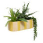 Jardiniere dans pot raye