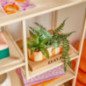 Jardiniere dans pot raye