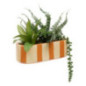 Jardiniere dans pot raye