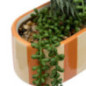Jardiniere dans pot raye