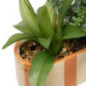 Jardiniere dans pot raye
