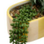 Jardiniere dans pot raye