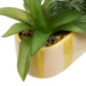 Jardiniere dans pot raye