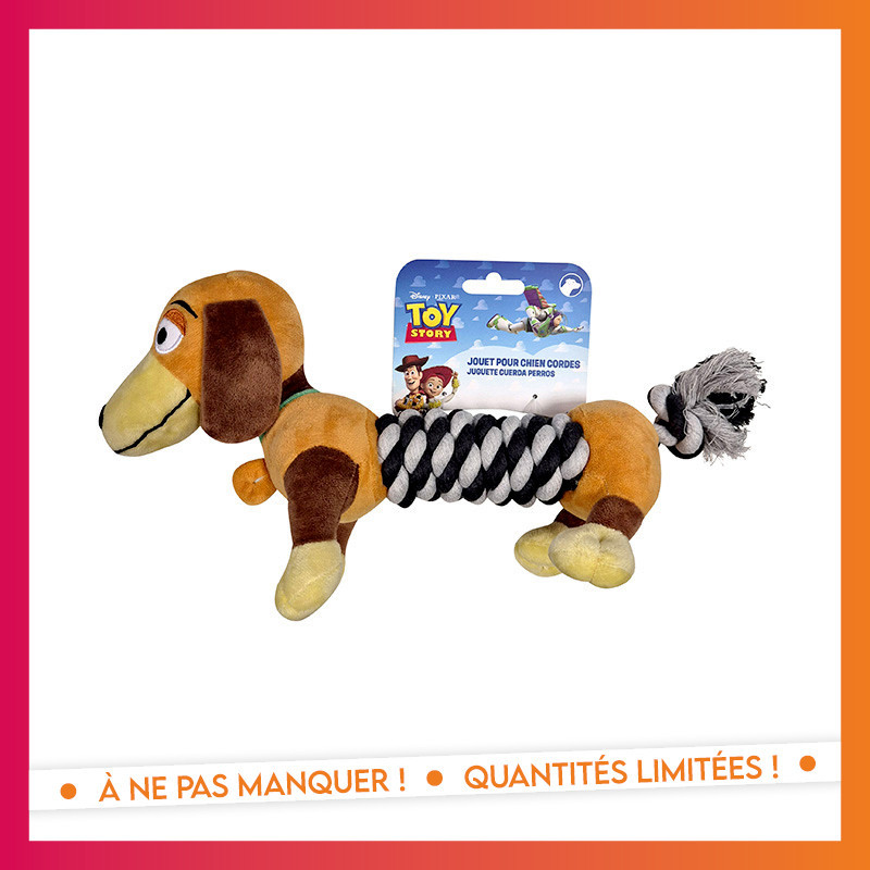 Jouet chien corde