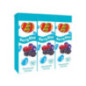 Brique jus fruits rouges 3x20cl