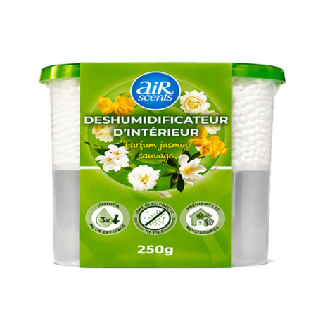 Deshumidificateur interieur