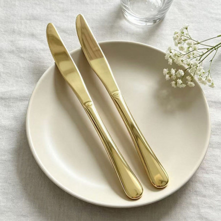 Lot de 2 couteaux tout inox dore