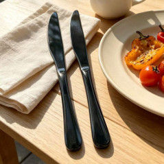 Lot de 2 couteaux tout inox noir