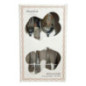 Menagere 16pcs essaouira