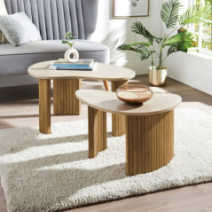 2 tables basses effet manguier