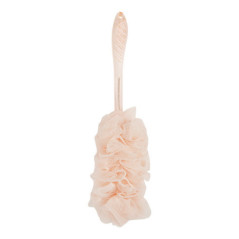Fleur de douche avec manche