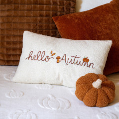 Coussin bouclette hello autumn