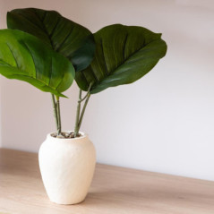 Plante dans vase blanc