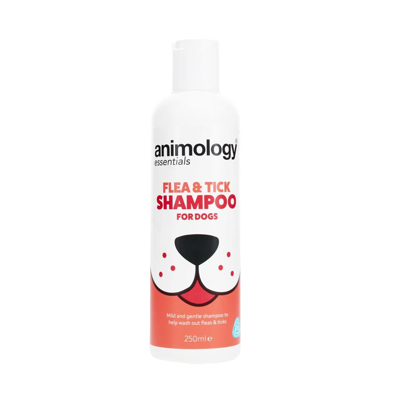 Shampoing anti-puces & tiques