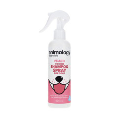 Shampoing sec sans rincage 250ml