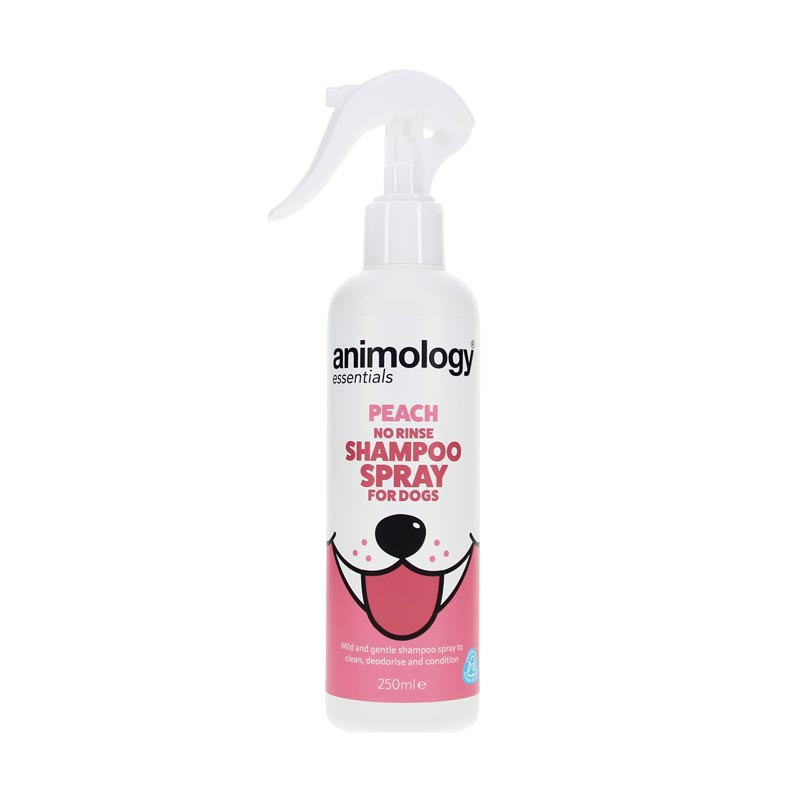 Shampoing sec sans rincage 250ml