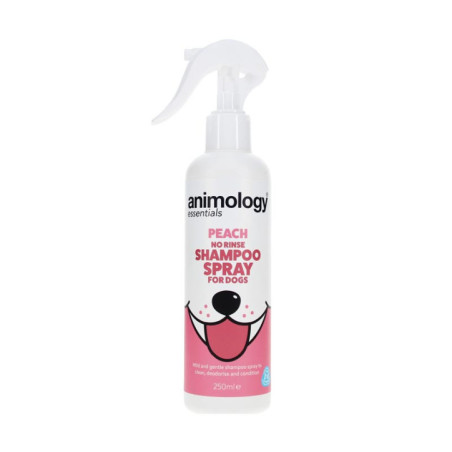 Shampoing sec sans rincage 250ml