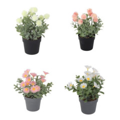 Fleurs en pot