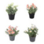 Fleurs en pot