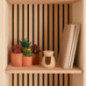 Plantes pots terracota