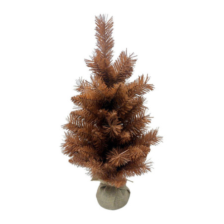 Sapin d'automne