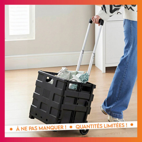 Caisse de rangement roulettes