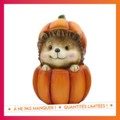 Statue animaux dans citrouille 2