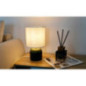 Lot de 2 lampes de chevet vertes