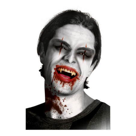 Kit faux sang et canines de vamp