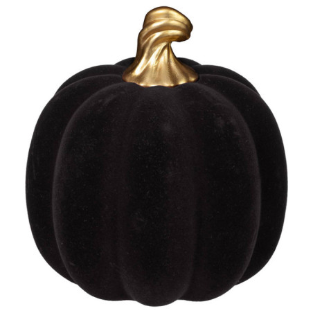 Citrouille velour tige dore