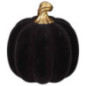 Citrouille velour tige dore