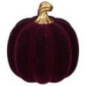 Citrouille velour tige dore