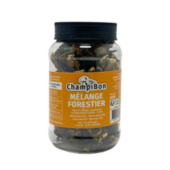 Champignons melange forestiers