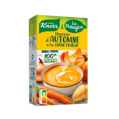 Soupe d'automne & creme fraiche