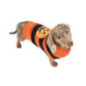 Pull pour chien halloween l