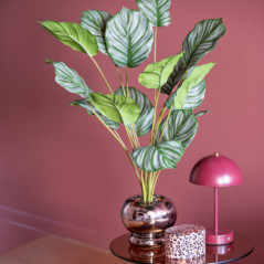 Plante pot chrome