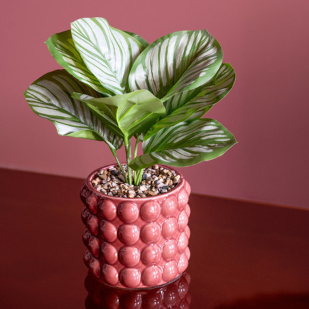 Plante pot ceramique bubble
