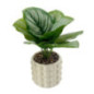Plante pot ceramique bubble