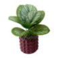 Plante pot ceramique bubble