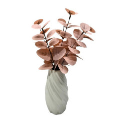 Eucalyptus rose dans vase twist