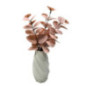 Eucalyptus rose dans vase twist