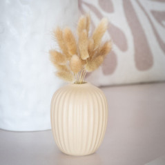 Queue de lapin dans vase boule