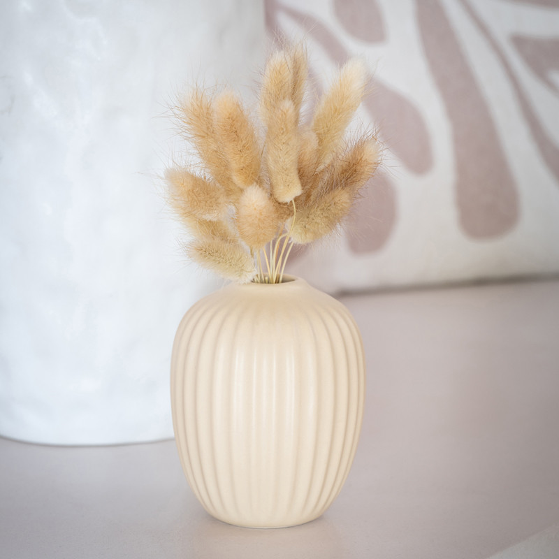 Queue de lapin dans vase boule